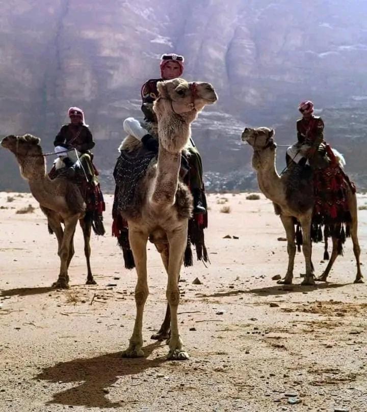 Enad Desert Camp วาดิรัม ภายนอก รูปภาพ